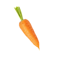 재료 이미지 8