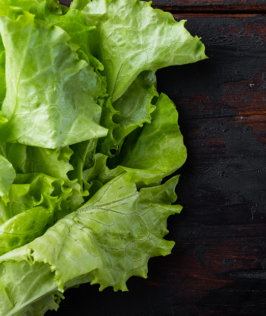 Fresh Vegetables